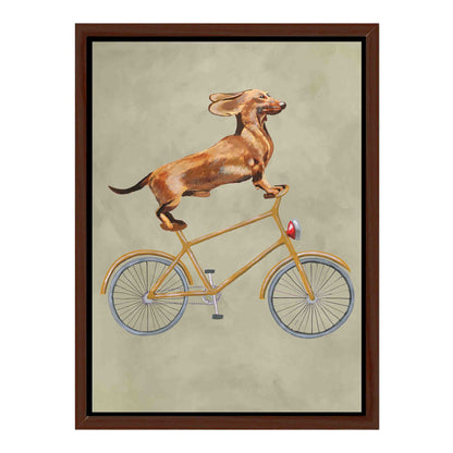 DACHSHUND ON BICYCLE | CANVAS