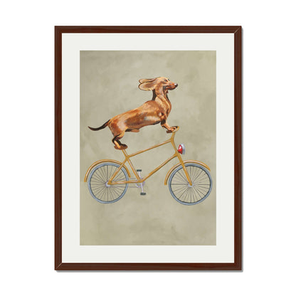 DACHSHUND ON BICYCLE | PRINT