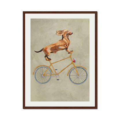 DACHSHUND ON BICYCLE | PRINT