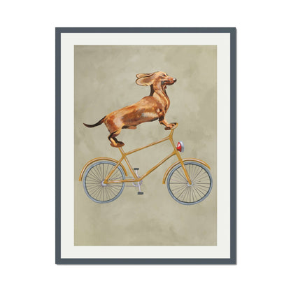 DACHSHUND ON BICYCLE | PRINT