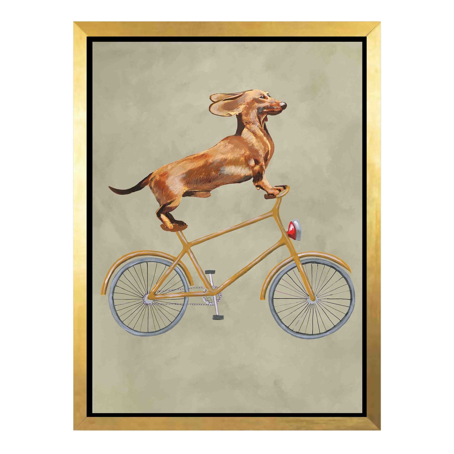 DACHSHUND ON BICYCLE | CANVAS