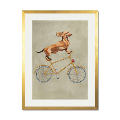 DACHSHUND ON BICYCLE | PRINT