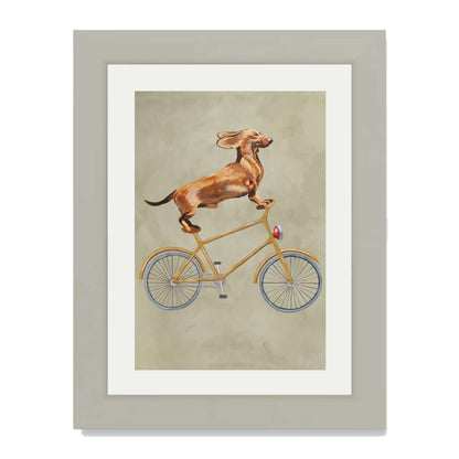 DACHSHUND ON BICYCLE | PRINT