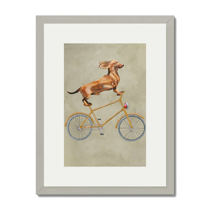 DACHSHUND ON BICYCLE | PRINT