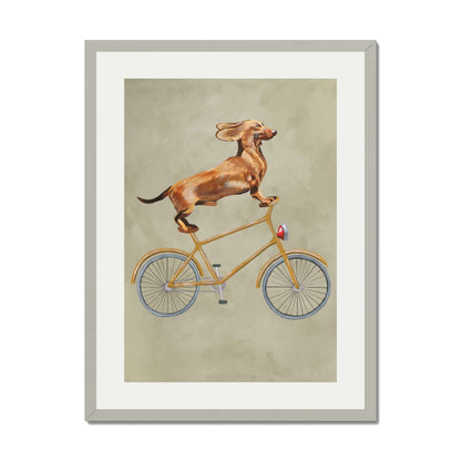 DACHSHUND ON BICYCLE | PRINT