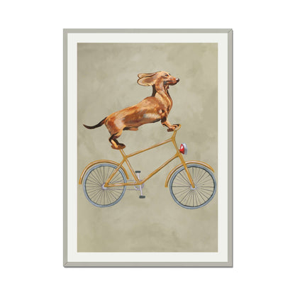 DACHSHUND ON BICYCLE | PRINT
