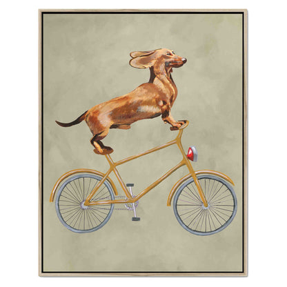 DACHSHUND ON BICYCLE | CANVAS