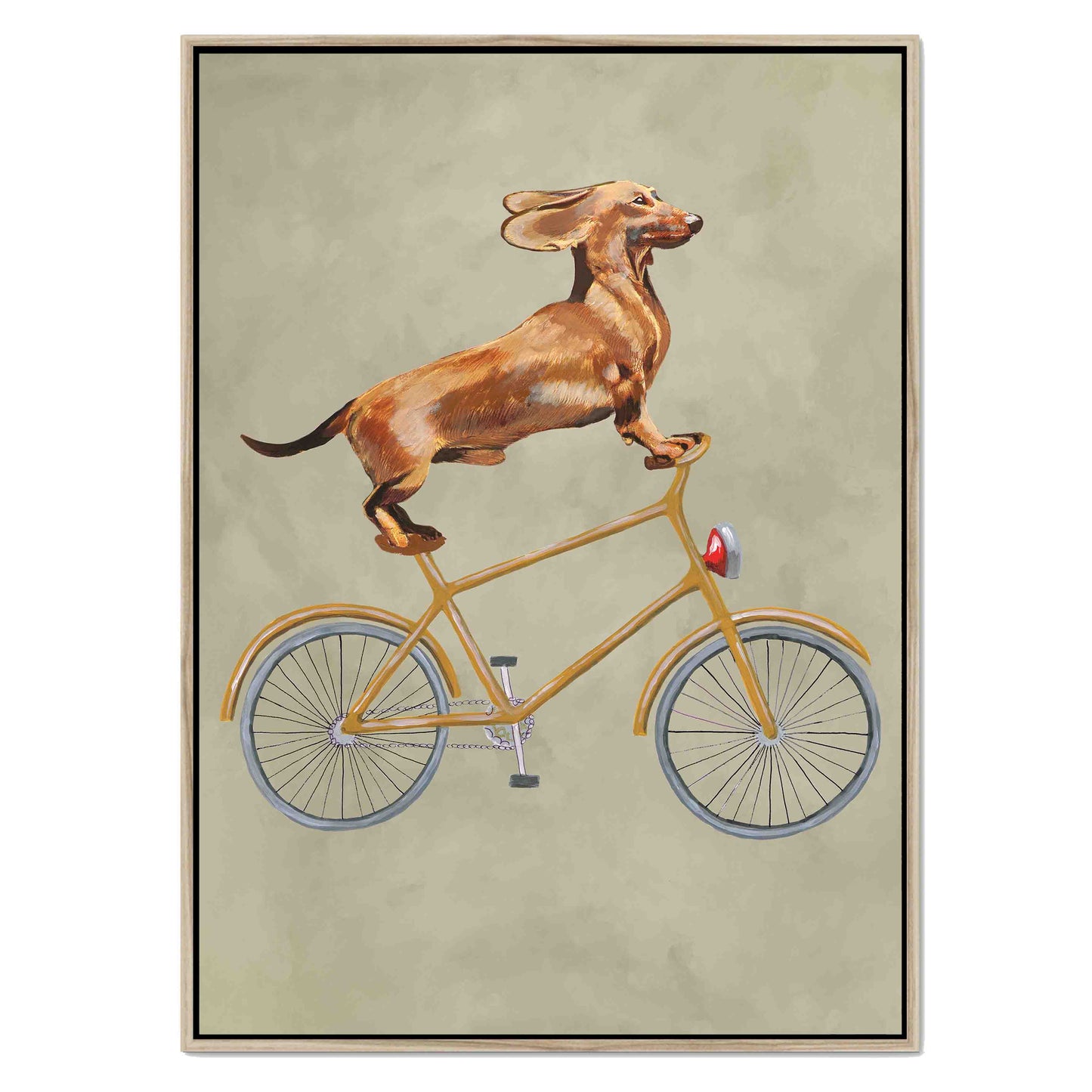 DACHSHUND ON BICYCLE | CANVAS