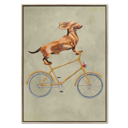 DACHSHUND ON BICYCLE | CANVAS