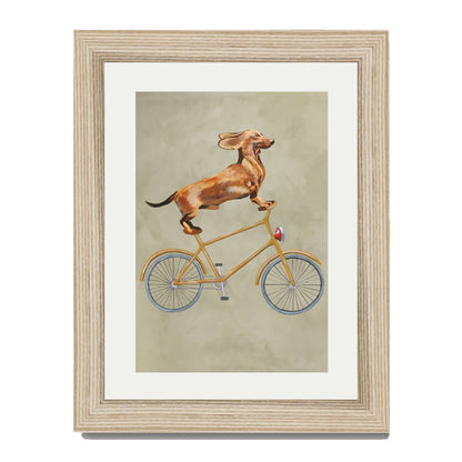 DACHSHUND ON BICYCLE | PRINT