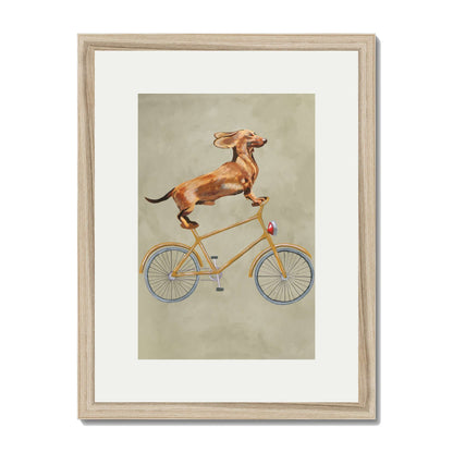 DACHSHUND ON BICYCLE | PRINT