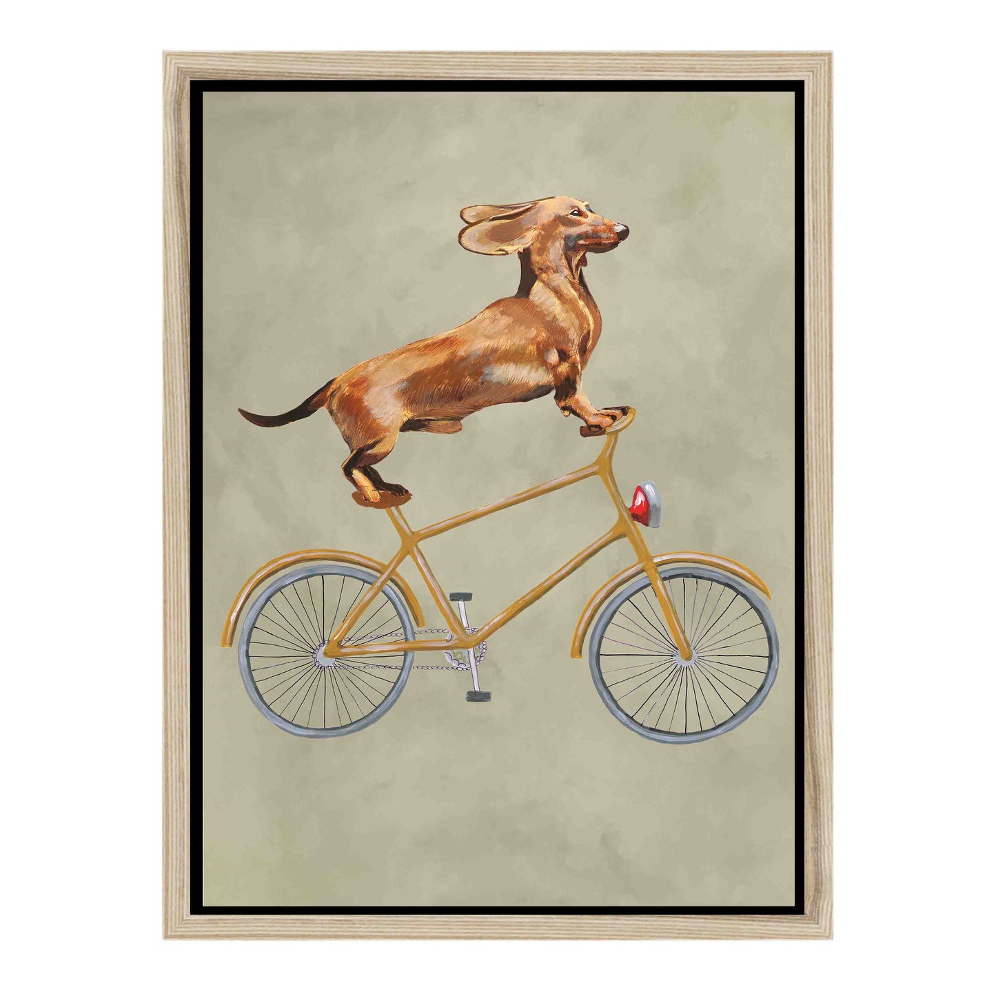 DACHSHUND ON BICYCLE | CANVAS