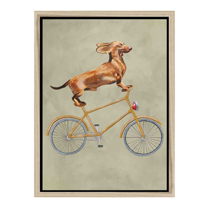 DACHSHUND ON BICYCLE | CANVAS