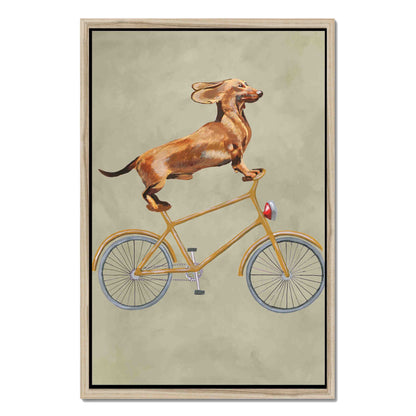 DACHSHUND ON BICYCLE | CANVAS