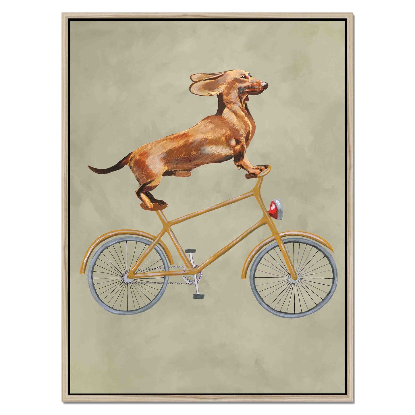 DACHSHUND ON BICYCLE | CANVAS