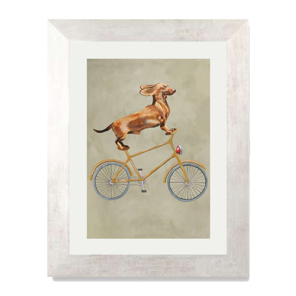 DACHSHUND ON BICYCLE | PRINT