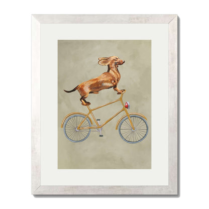 DACHSHUND ON BICYCLE | PRINT