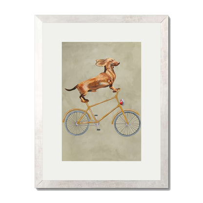DACHSHUND ON BICYCLE | PRINT
