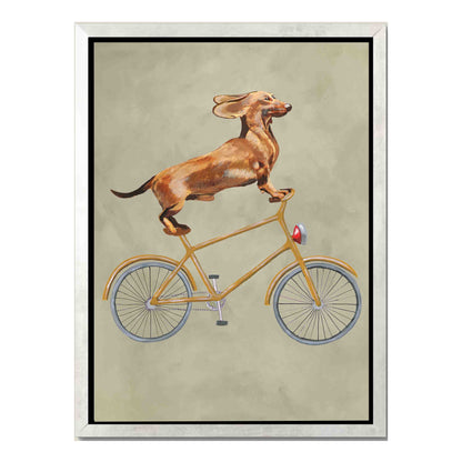 DACHSHUND ON BICYCLE | CANVAS