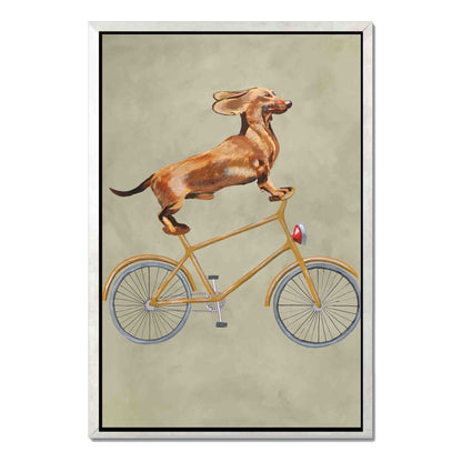 DACHSHUND ON BICYCLE | CANVAS