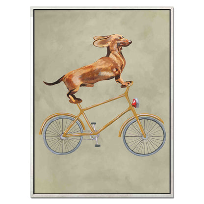 DACHSHUND ON BICYCLE | CANVAS