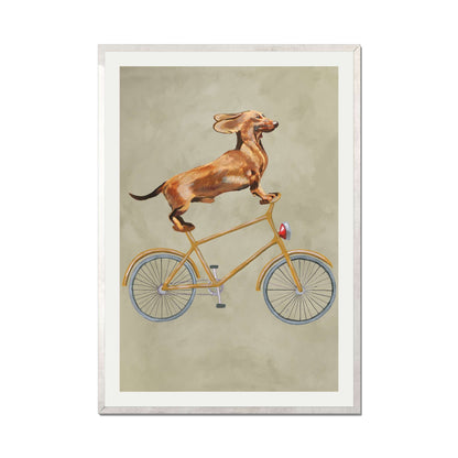 DACHSHUND ON BICYCLE | PRINT