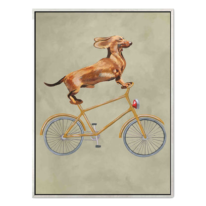DACHSHUND ON BICYCLE | CANVAS