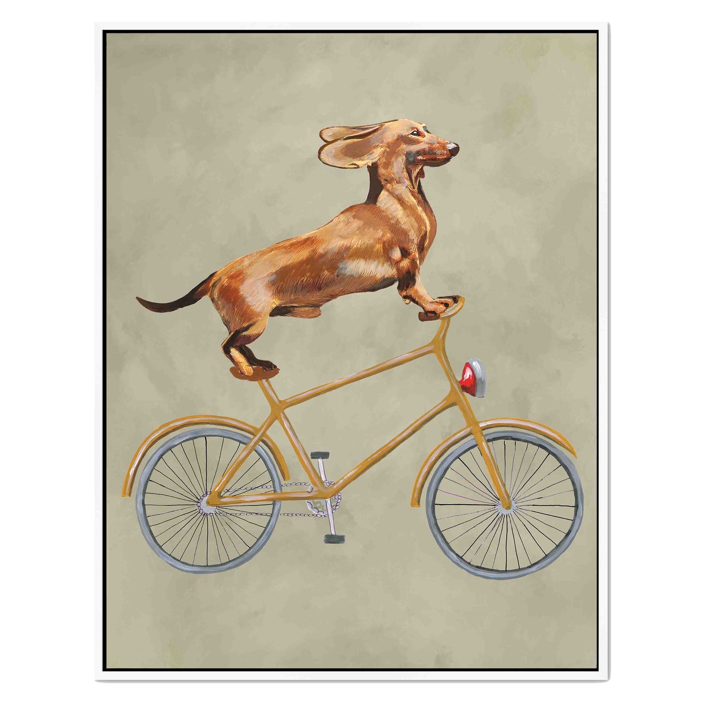 DACHSHUND ON BICYCLE | CANVAS