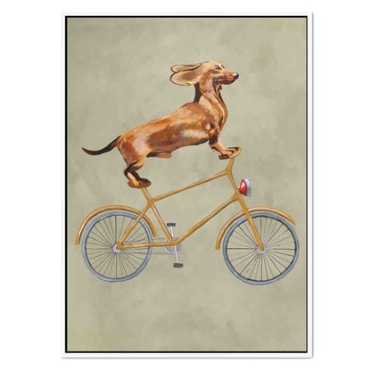 DACHSHUND ON BICYCLE | CANVAS