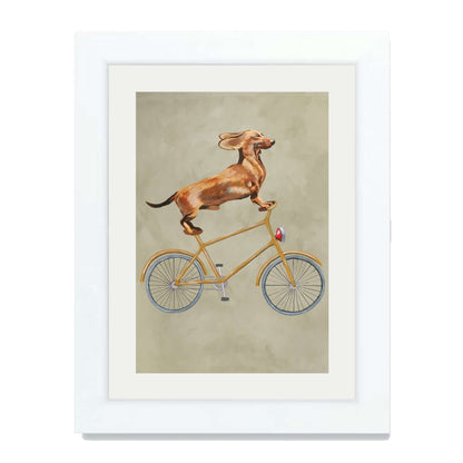DACHSHUND ON BICYCLE | PRINT