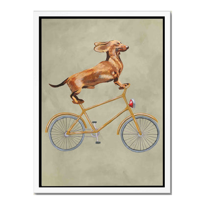 DACHSHUND ON BICYCLE | CANVAS