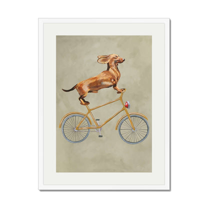 DACHSHUND ON BICYCLE | PRINT