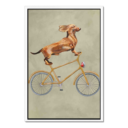 DACHSHUND ON BICYCLE | CANVAS