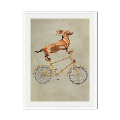 DACHSHUND ON BICYCLE | PRINT