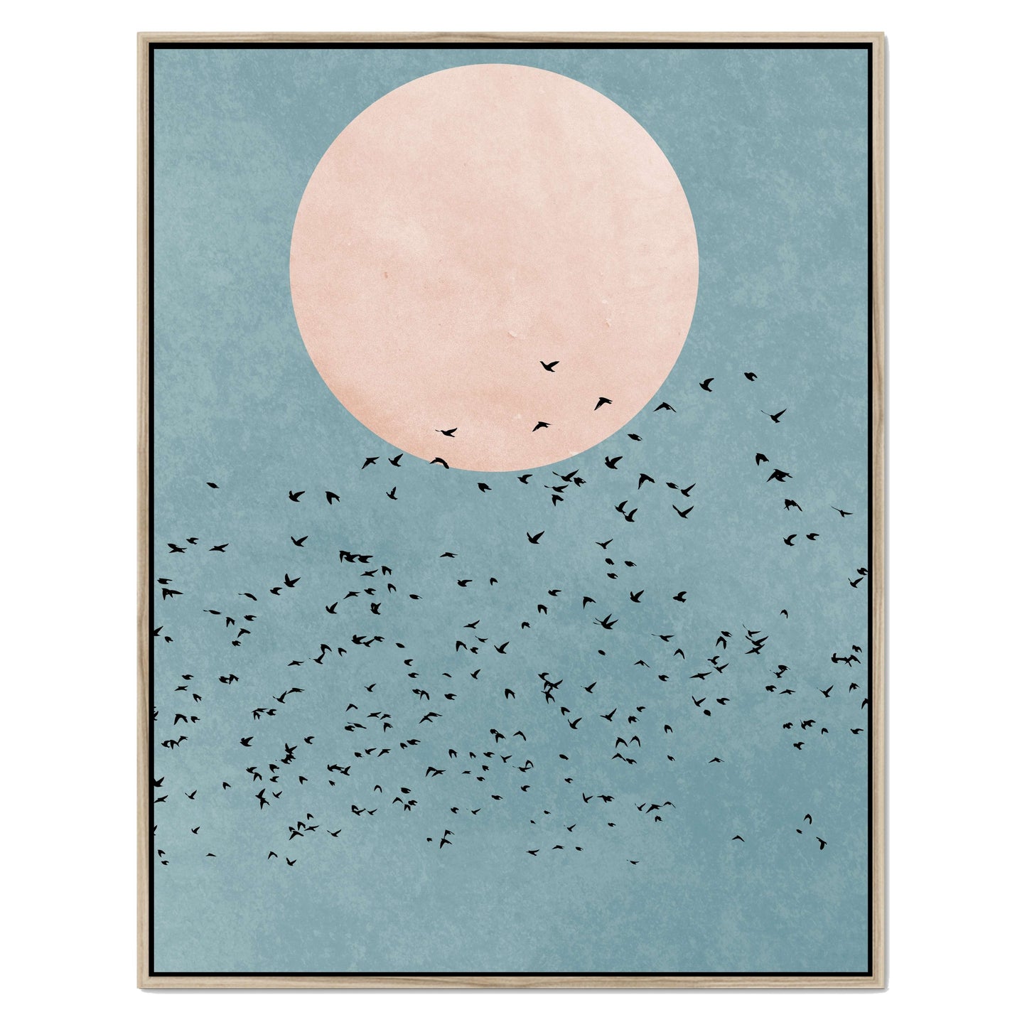 FLY AWAY | CANVAS