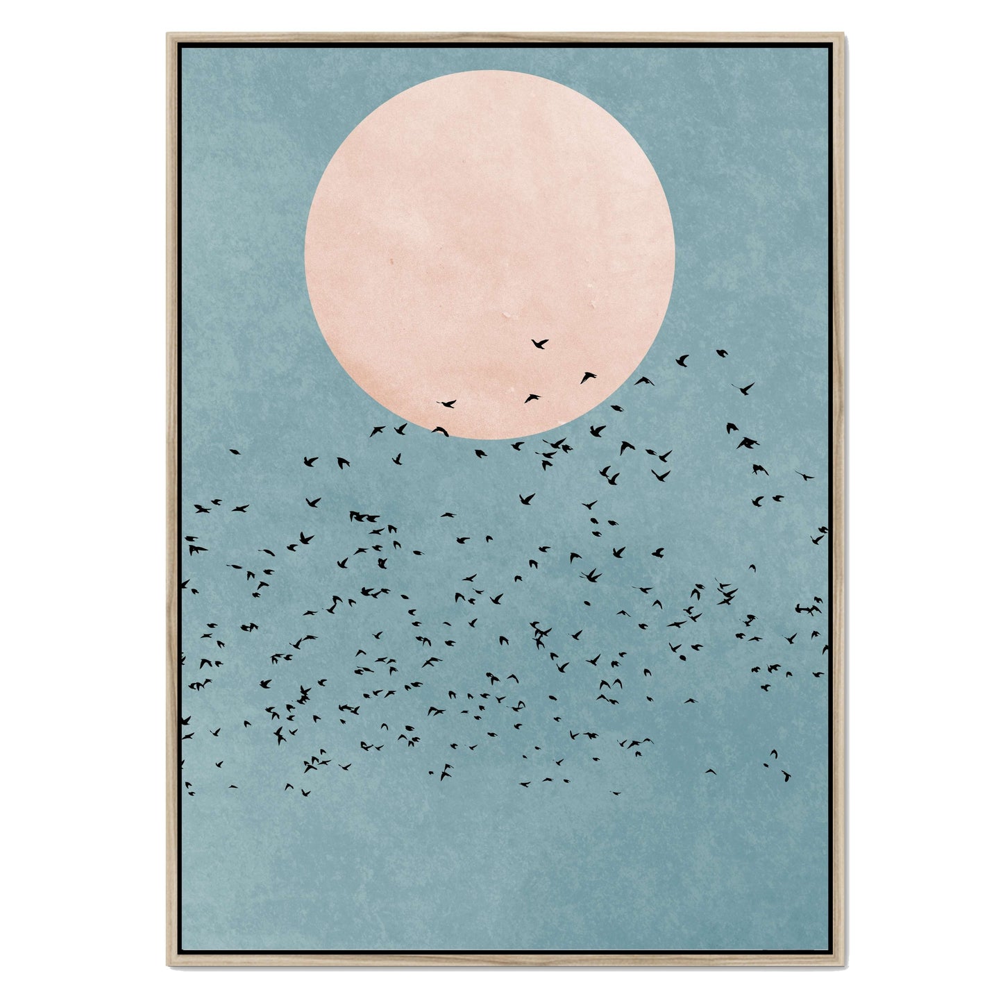 FLY AWAY | CANVAS