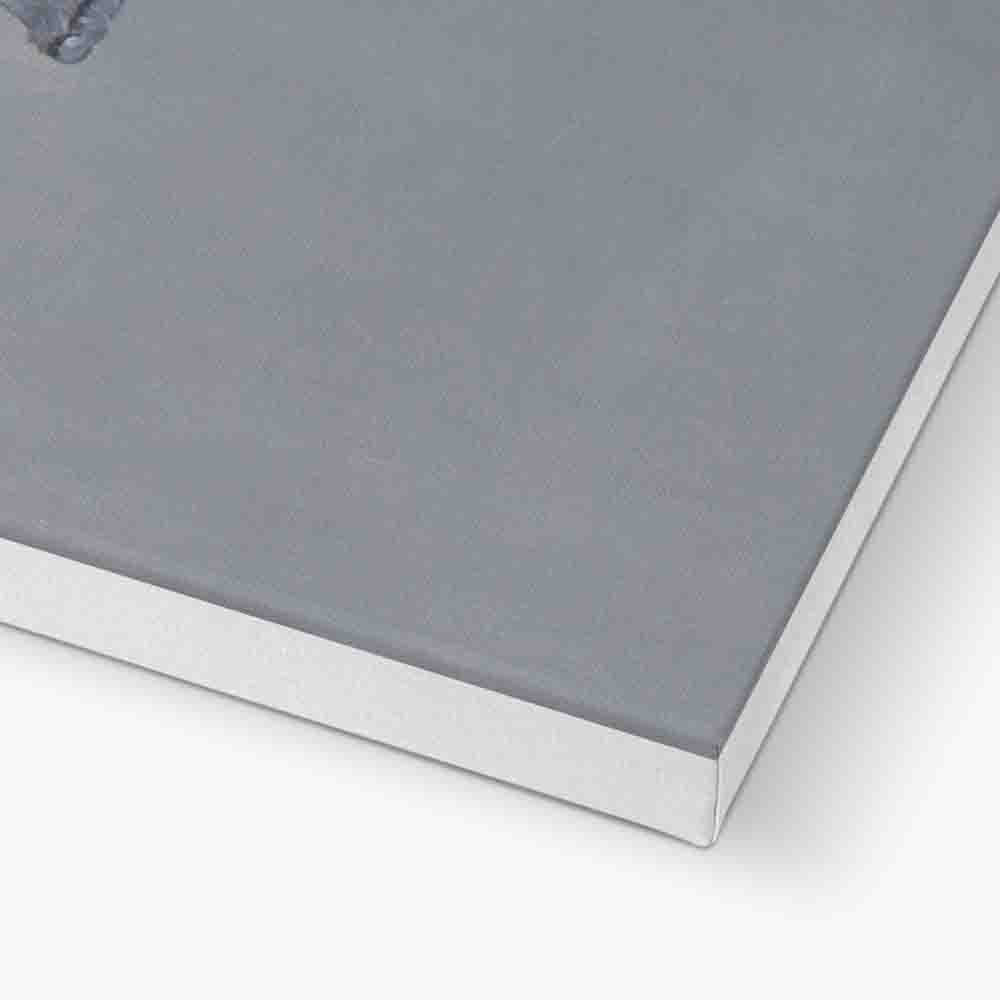 GIRAFFE IN BATHTUB | CANVAS