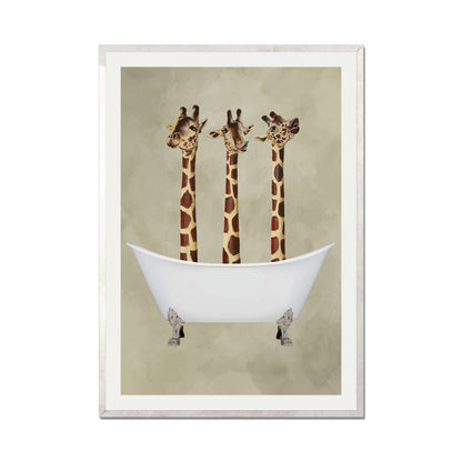 GIRAFFES IN BATHTUB | PRINT