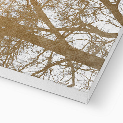 GOLDEN SKIES | CANVAS