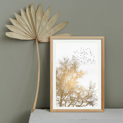 GOLDEN SKIES | PRINT