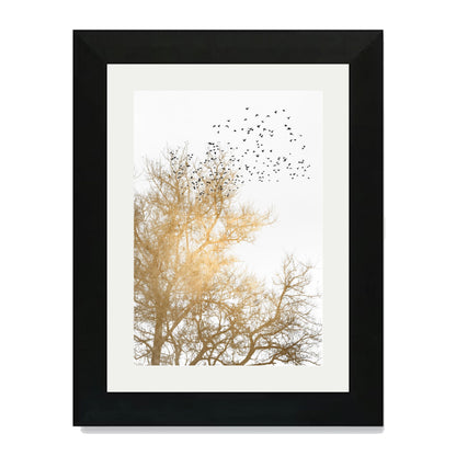 GOLDEN SKIES | PRINT