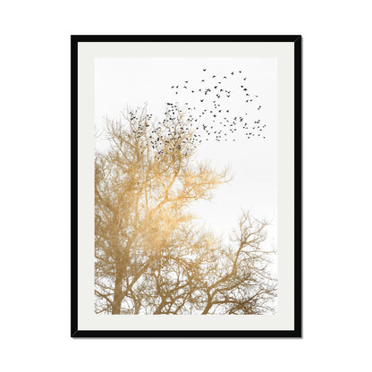 GOLDEN SKIES | PRINT