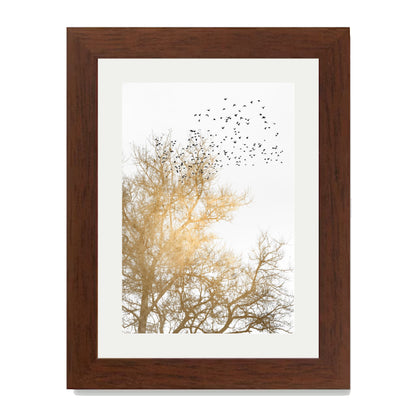 GOLDEN SKIES | PRINT
