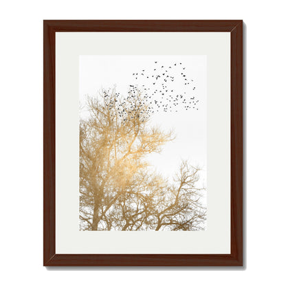 GOLDEN SKIES | PRINT