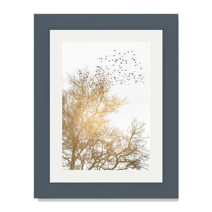 GOLDEN SKIES | PRINT