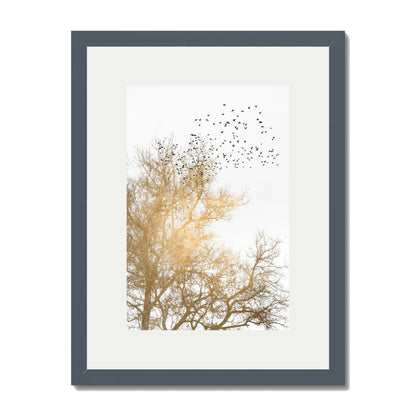 GOLDEN SKIES | PRINT