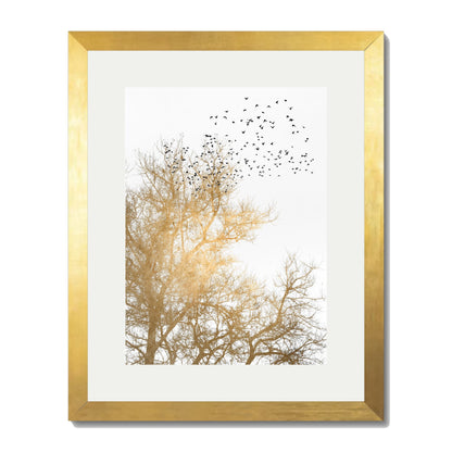 GOLDEN SKIES | PRINT
