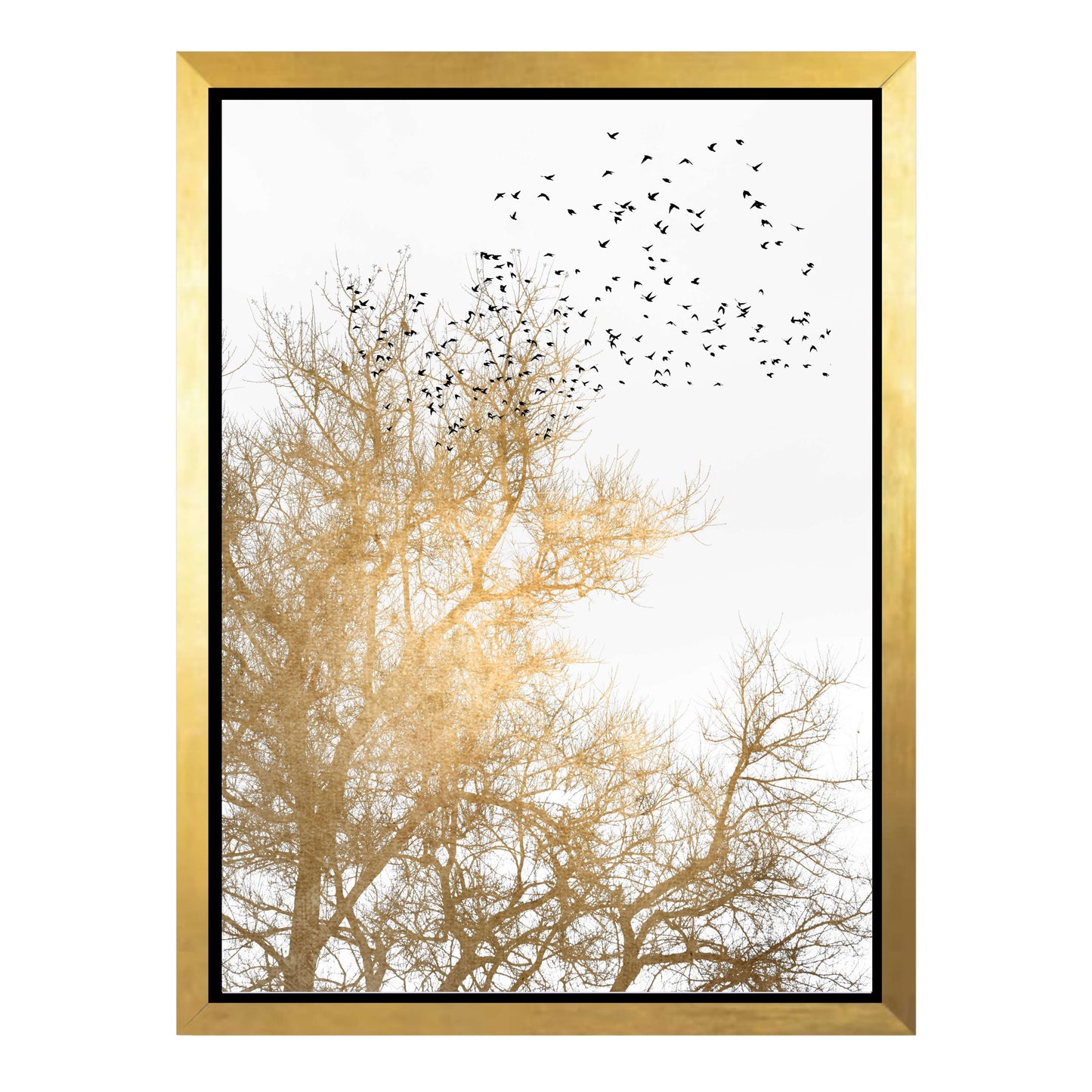 GOLDEN SKIES | CANVAS