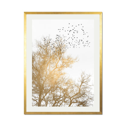 GOLDEN SKIES | PRINT