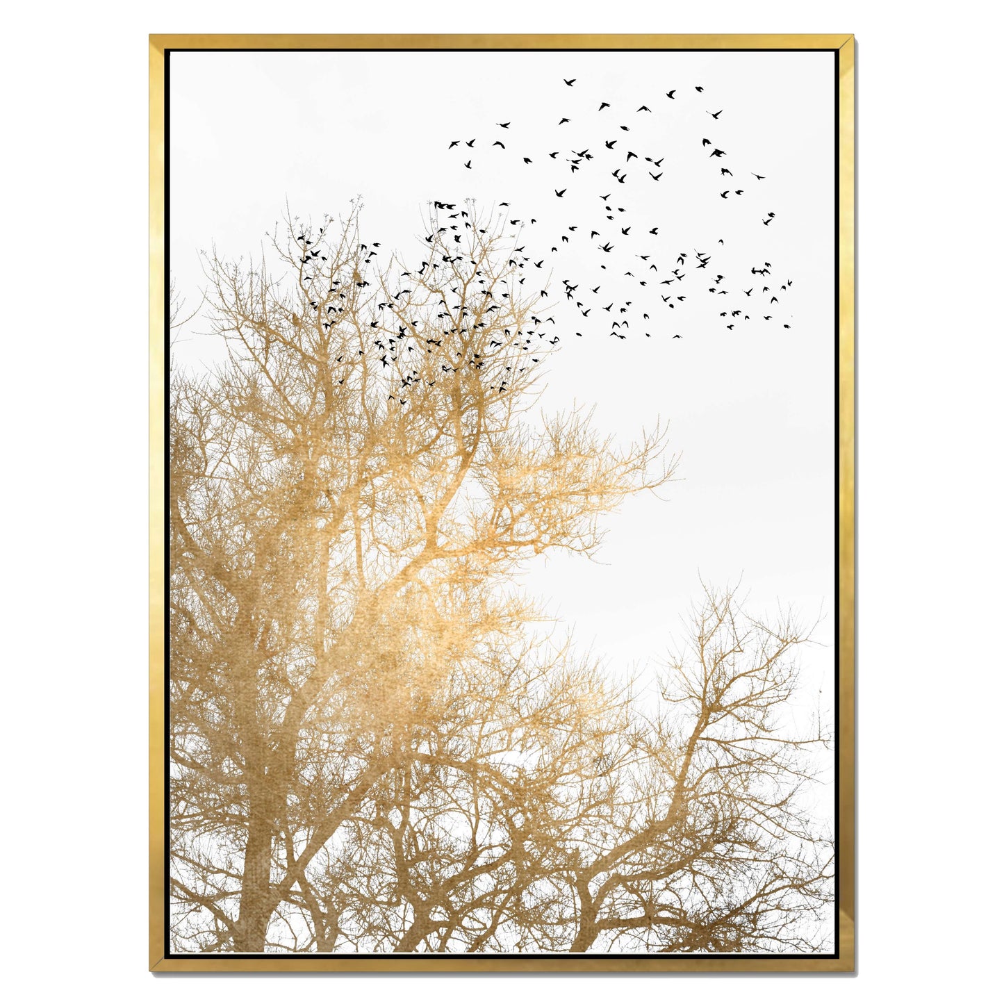 GOLDEN SKIES | CANVAS